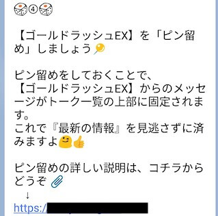 ゴールドラッシュEX画像10