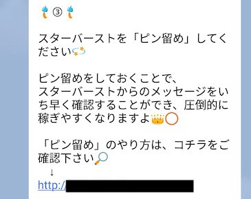 スターバースト(Star Burst)画像10