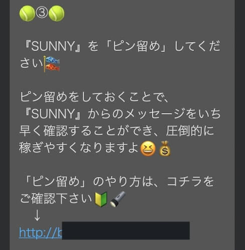 SUNNY(サニー)画像9