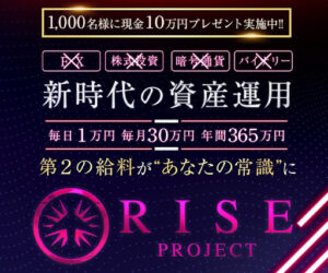 【投資】ライズプロジェクト(RISE PROJECT)は詐欺なのか?|概要と評判、口コミを徹底調査!