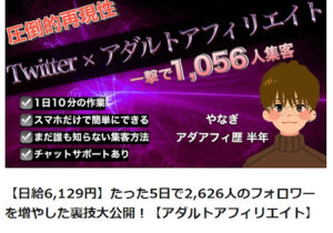 たった5日で2,626人のフォロワーを増やした裏技大公開!【アダルトアフィリエイト】は詐欺なのか!評判・口コミを見た結果