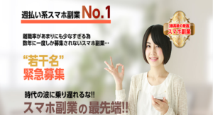 no1-fukugyo(ナンバーワン副業)の評判や口コミは?副業詐欺の可能性は?概要を徹底的に調査!