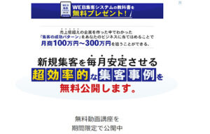 【副業】ナインキャット合同会社|Web集客システムの概要と評判・口コミを徹底調査してみた
